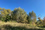Продажа земельного участка у озера - Киевская обл., Плюты, Конча-Заспа, Обуховский р-н